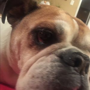 Meet your Posher, Jace